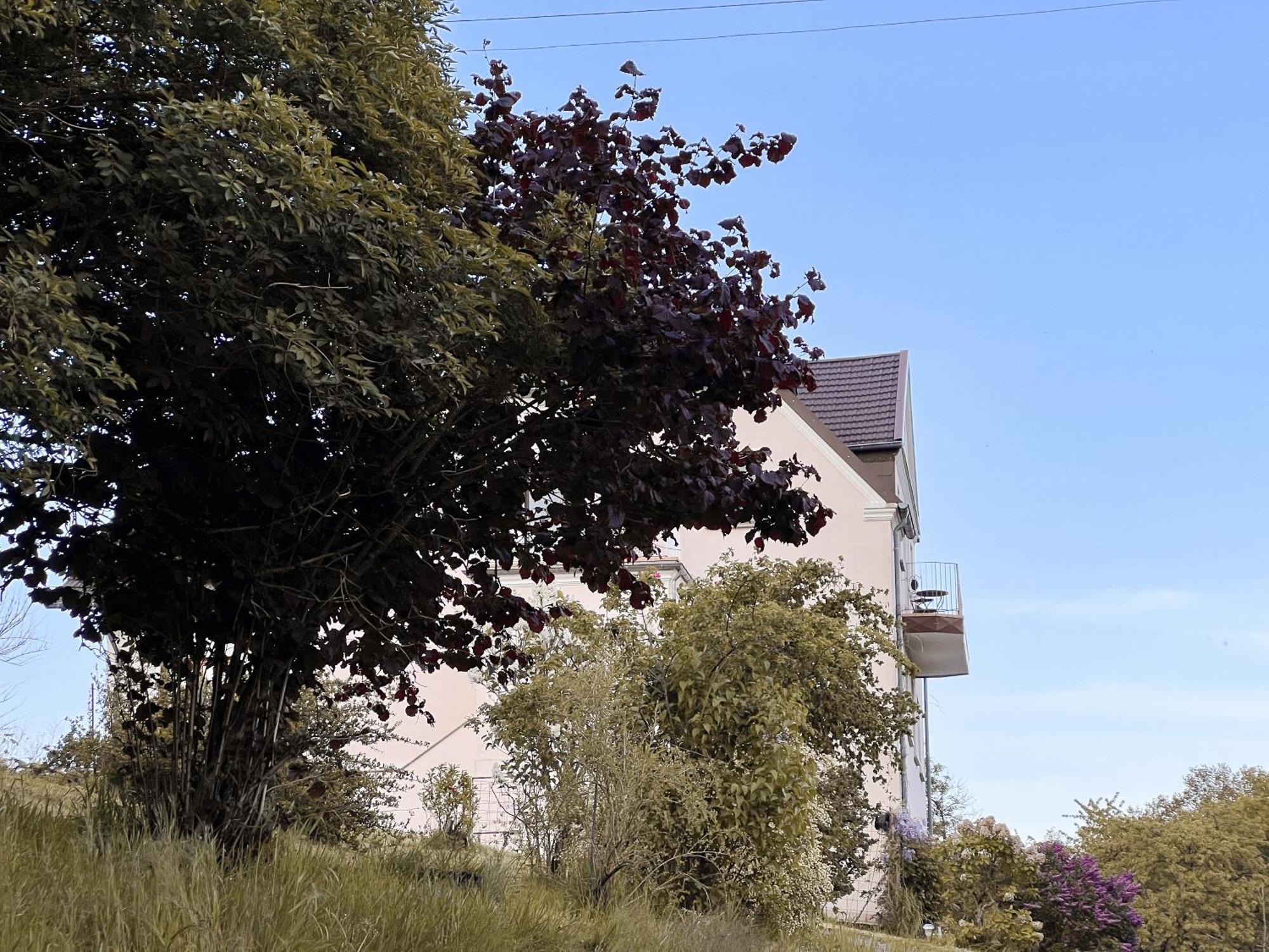 Villa Ueberblick Nalbach Luaran gambar