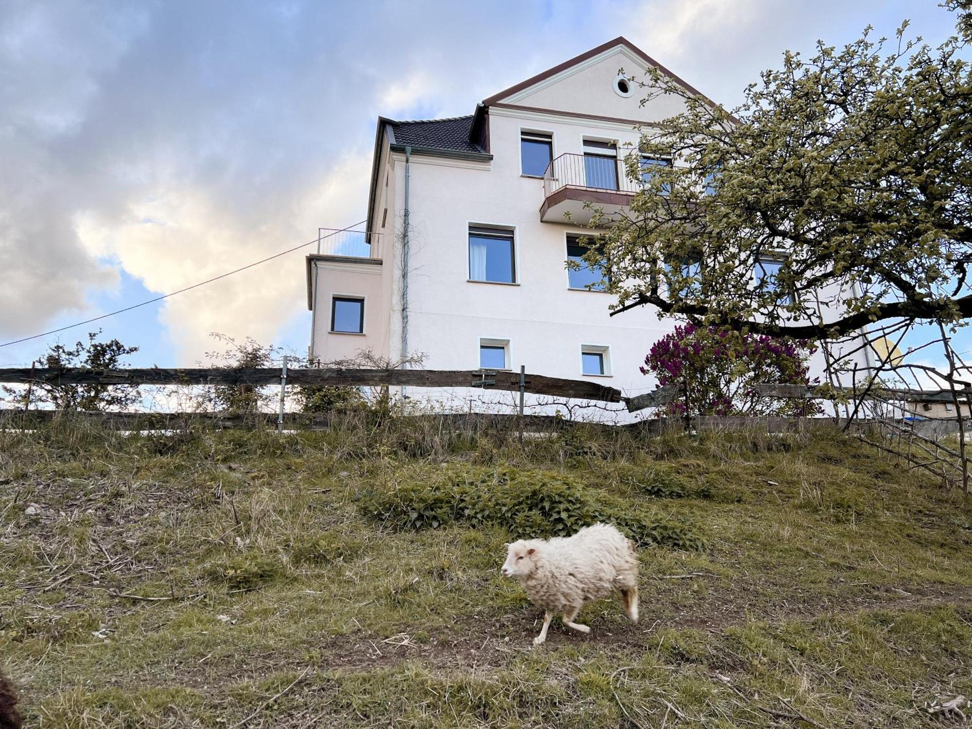 Villa Ueberblick Nalbach Luaran gambar