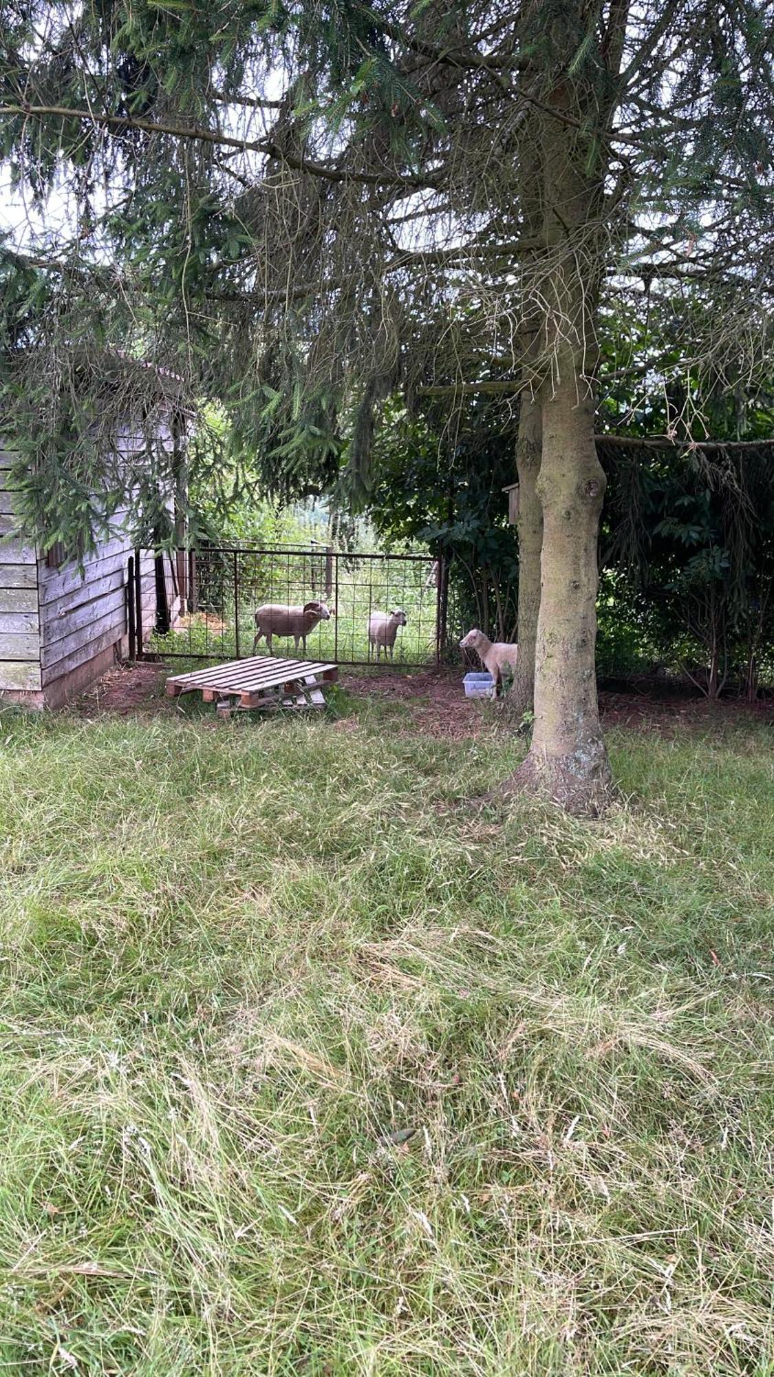 Villa Ueberblick Nalbach Luaran gambar